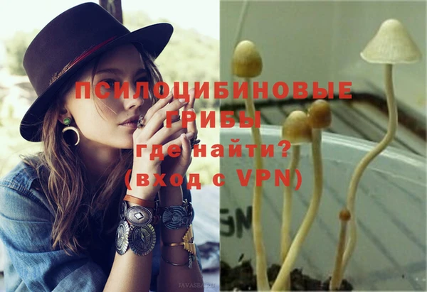 a pvp Медвежьегорск