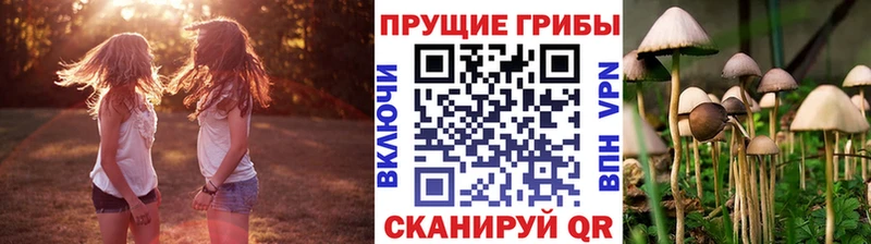закладки  Кирс  Псилоцибиновые грибы MAGIC MUSHROOMS 